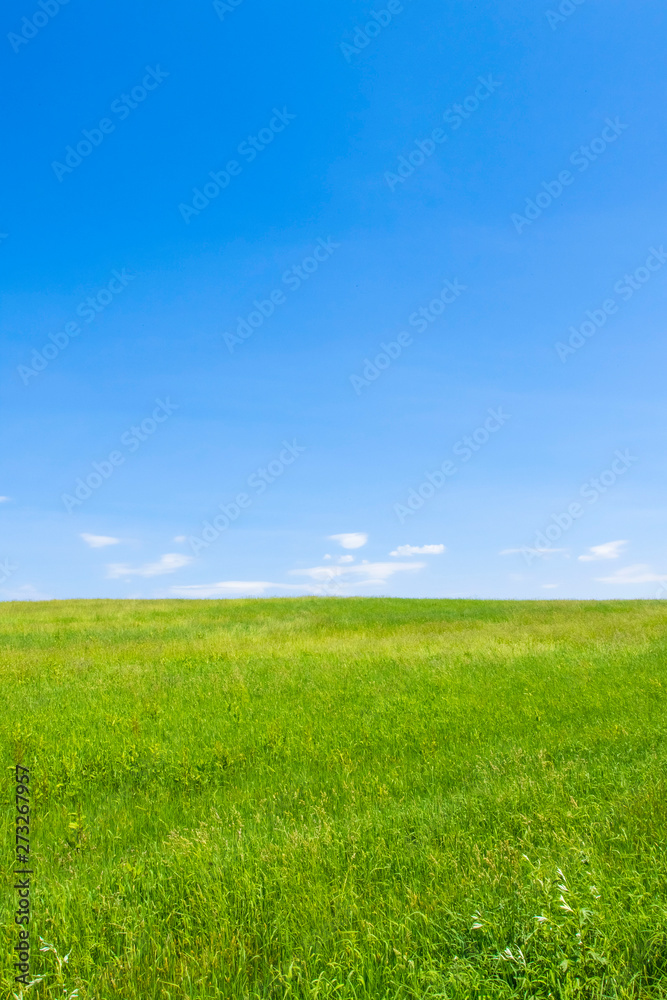 草原と大地と青空　シンプル背景　日本の北海道