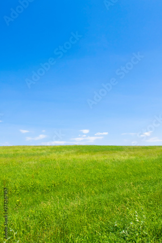 草原と大地と青空 シンプル背景 日本の北海道