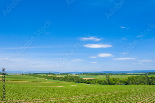 日本　北海道の大地と青空テクスチャ