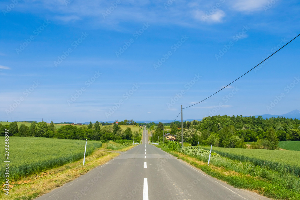 日本　北海道　絶景の道　シンプル背景