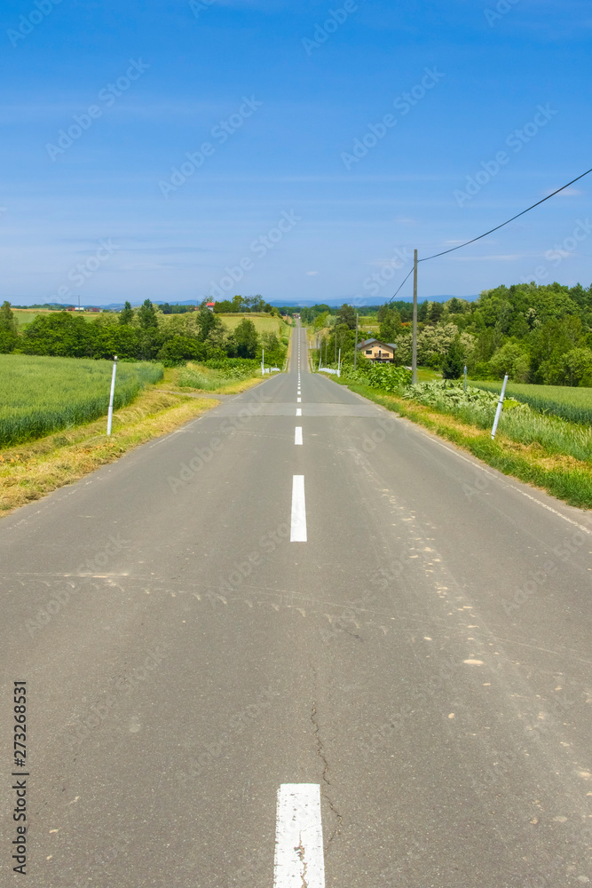 日本の田舎道　絶景ドライブイメージ