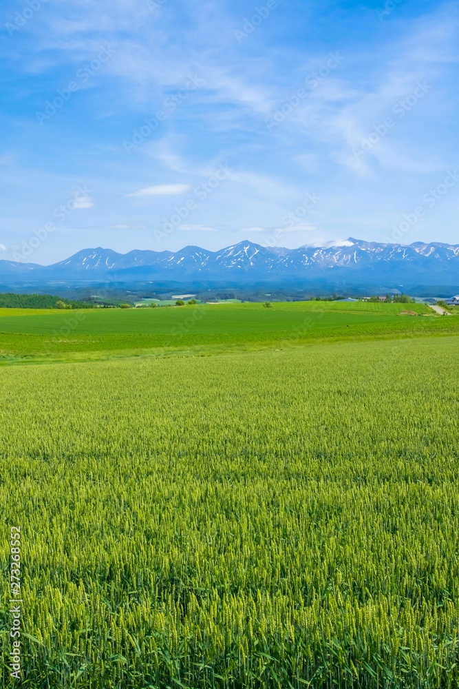 日本の田舎 絶景の大地と青空 日本の田舎 絶景の大地と青空