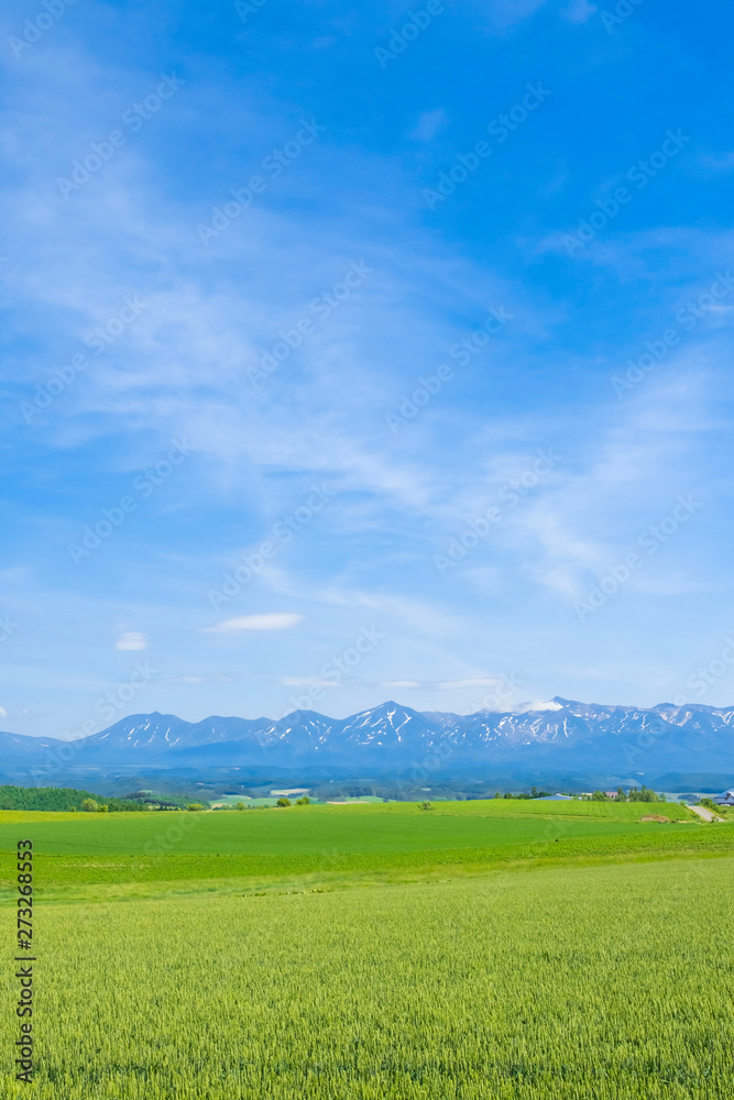 日本の田舎　絶景の大地と青空