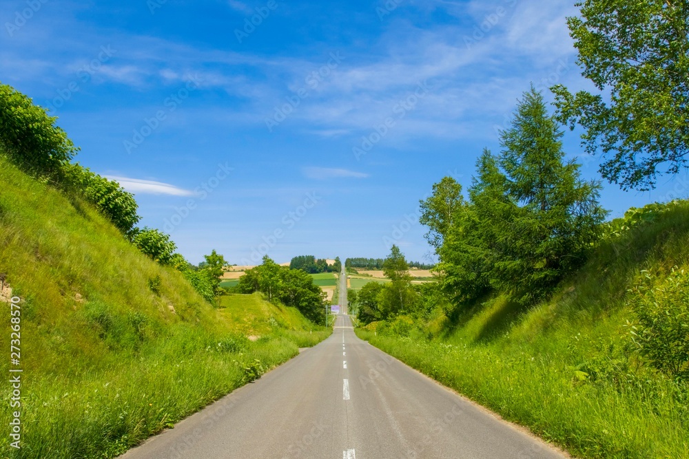 日本の田舎道 日本の田舎道