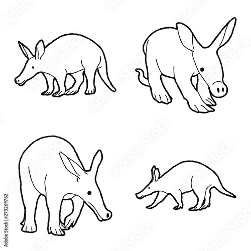 Aardvark Vector Illustration Hand Drawn Animal Cartoon Art