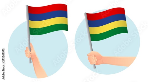 Mauritius flag in hand icon