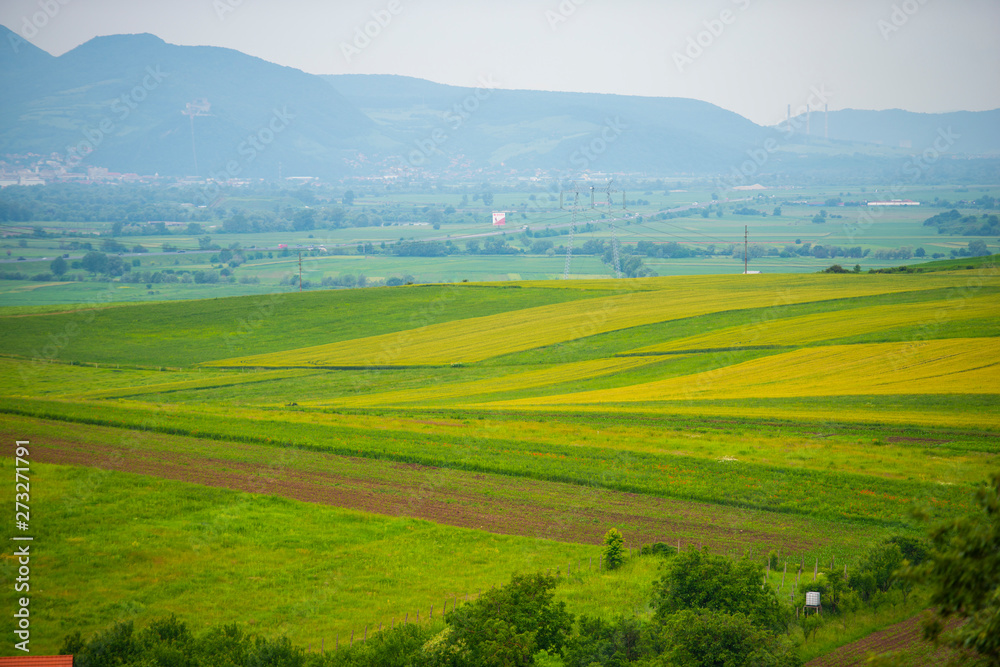 Summer landscape Summer landscape