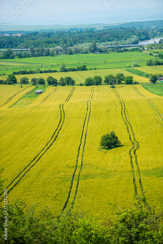 Traces on the wheat field