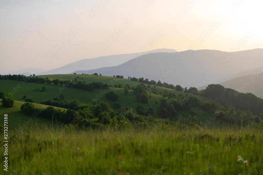 Obraz premium landscape nature summer