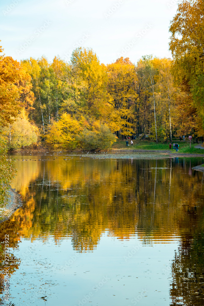Autumn Park, trees reflected in the pond, withered leaves Autumn Park, trees reflected in the pond, withered leaves
