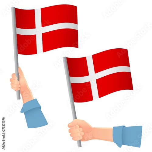 Denmark flag in hand icon