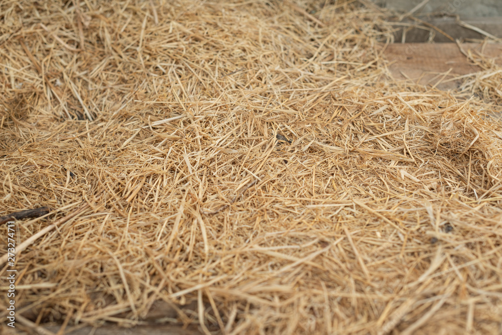 Background and texture of old dry grass hay on wooden background