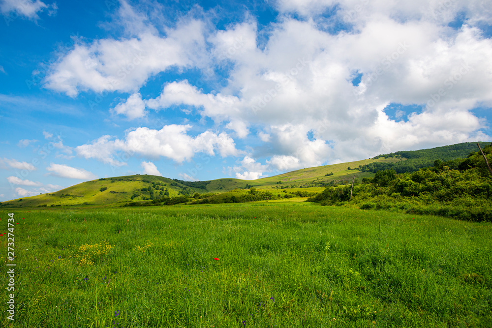 Springtime landscape