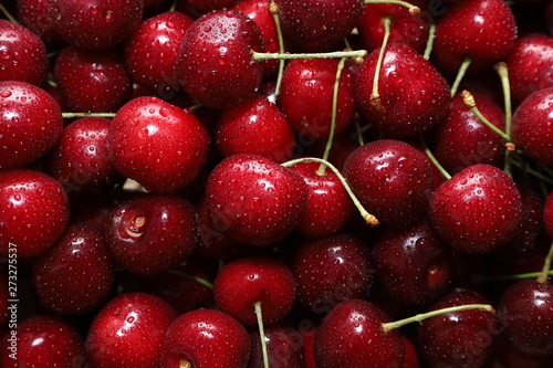 Close-up of a bunch of ripe cherries with peduncles. Large collection of fresh red cherries. Ripe cherries background.
