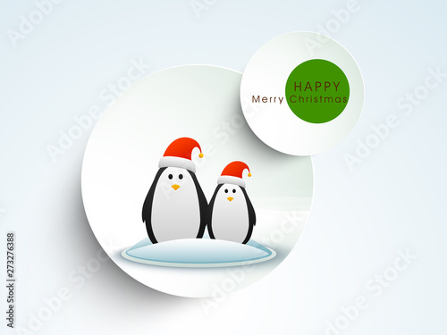 Tag, label and sticker for Merry Christmas.