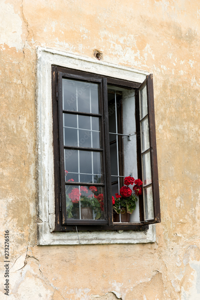 Half-open window with flowers of a old building