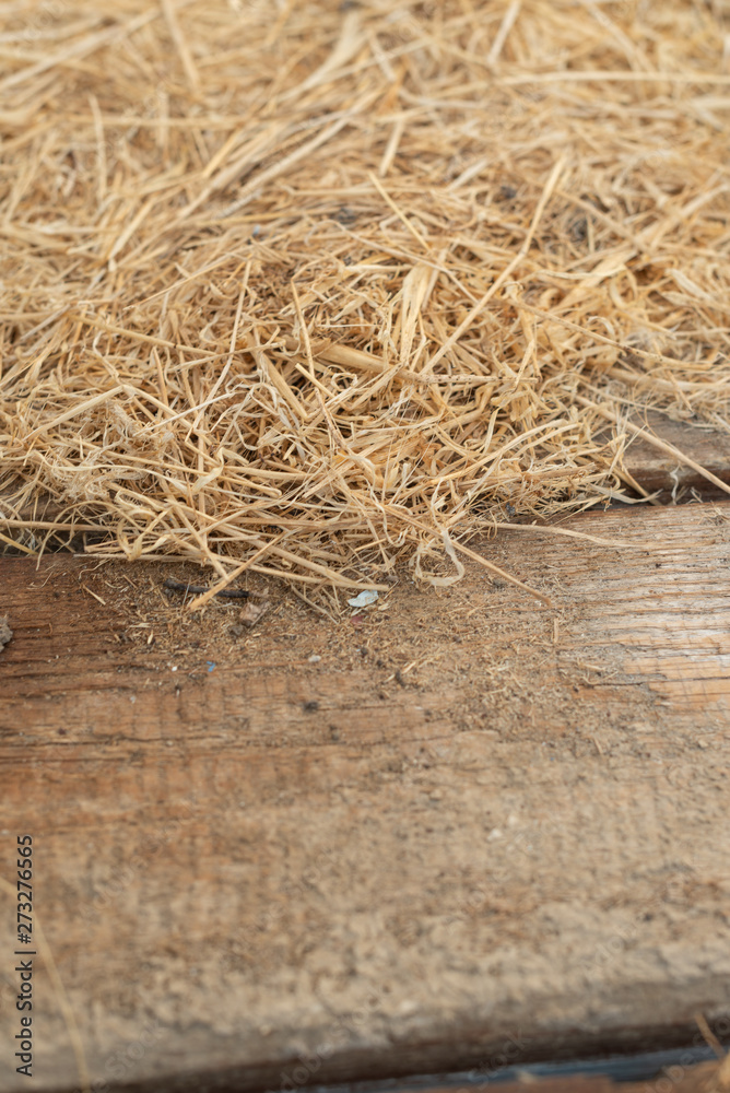 Background and texture of old dry grass hay on wooden background Background and texture of old dry grass hay on wooden background