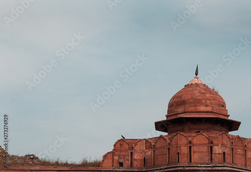 India travel tourism background - Dome  Red Fort  Lal Qila  Delhi - World Heritage Site. Delhi  India