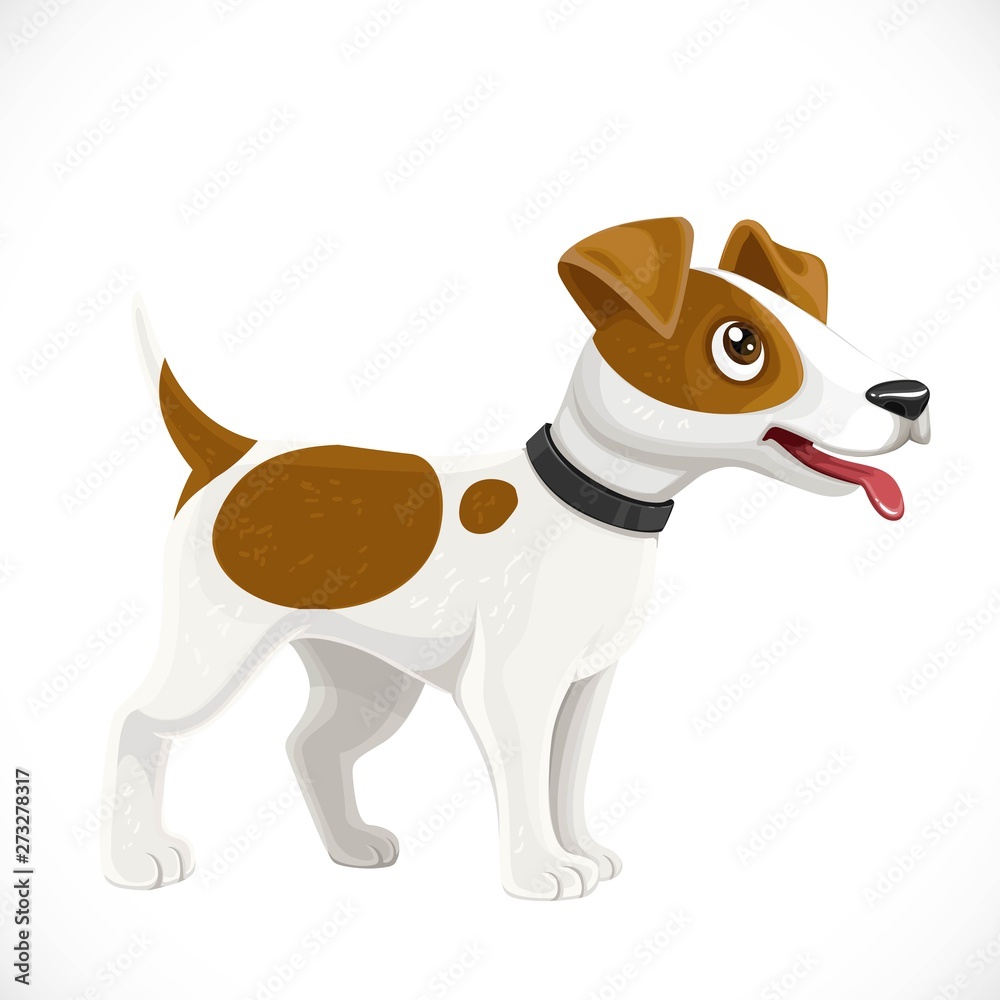 Cute cartoon Jack Russell Terrier dog isolated on white background - obrazy, fototapety, plakaty 