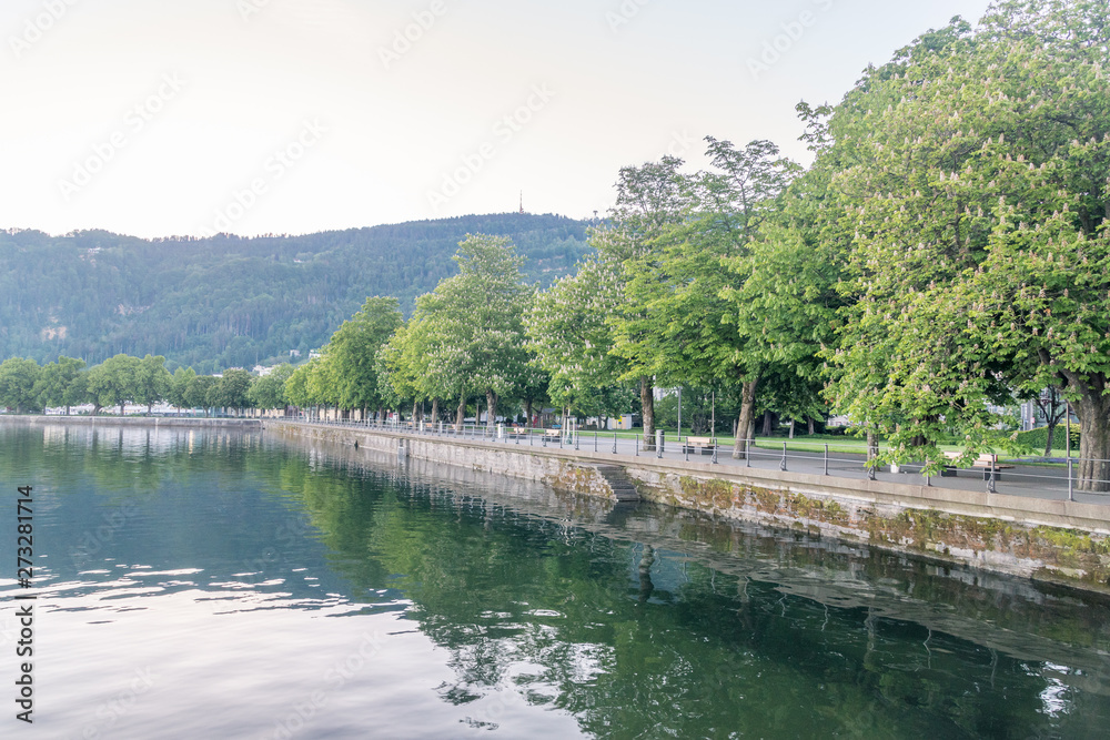 Morning view of boulevard with trees on Obersee lake (Lake Constance) in Bregenz, Austria.