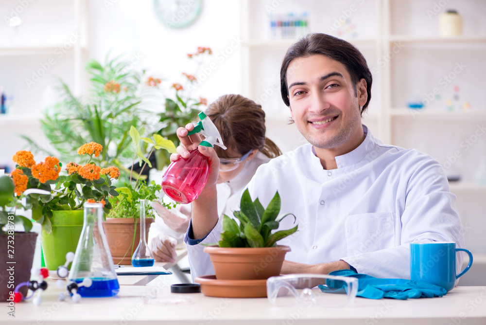 Two young botanist working in the lab Two young botanist working in the lab