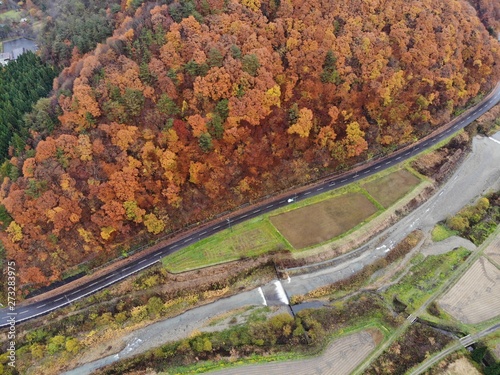 秋田県・大館の燃ゆるような紅葉風景 photo