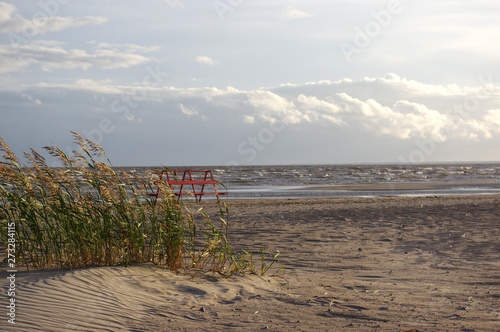 plage, Estonie photo