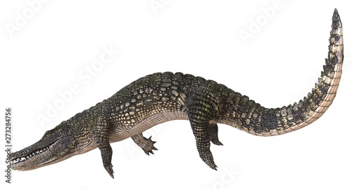A reference image Alligator isolated on white background 3d illustration