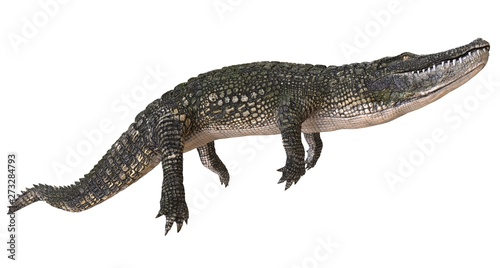 A reference image Alligator isolated on white background 3d illustration