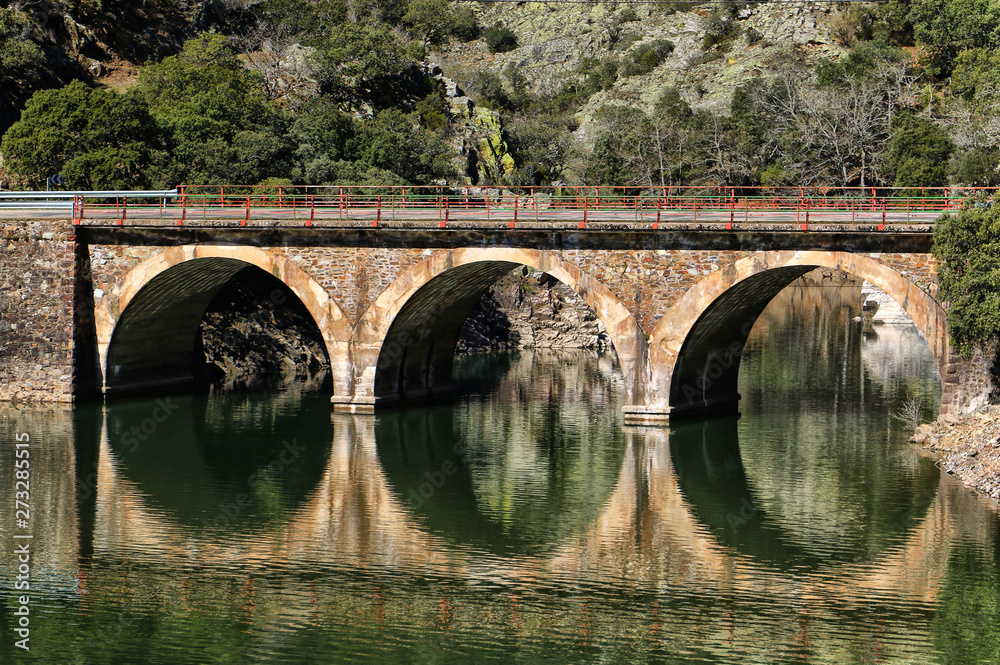 Fototapeta premium bridge over the river