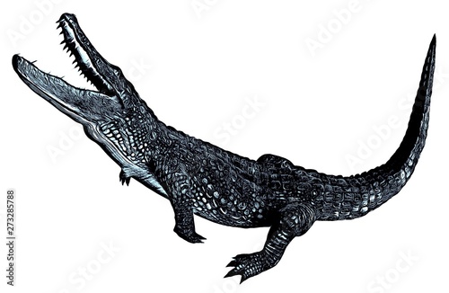 Sketch of alligator isolated on a white background