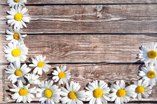 wooden aged background with daisies © Ольга Гусева