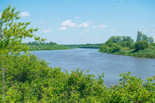 Landscape of Russian nature. Beautiful river in summer. 