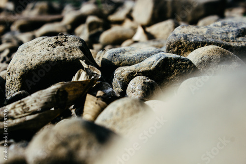 Stone for Background and Texture