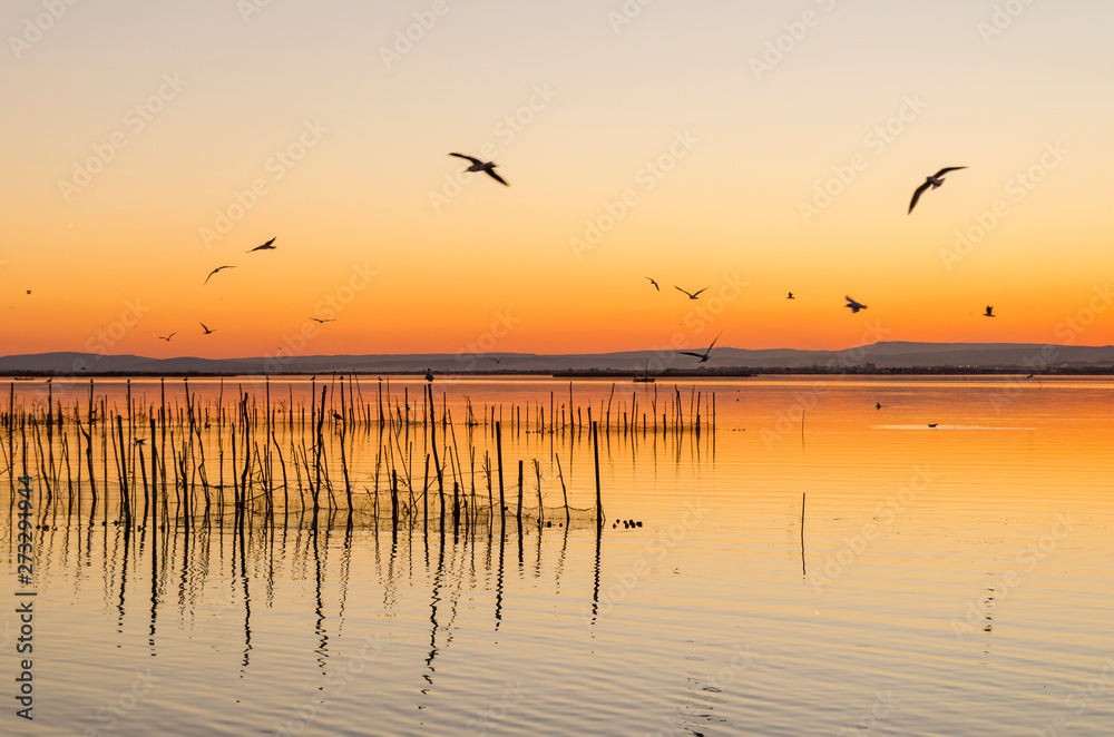 Parque natural de la Albufera en Valencia (España)