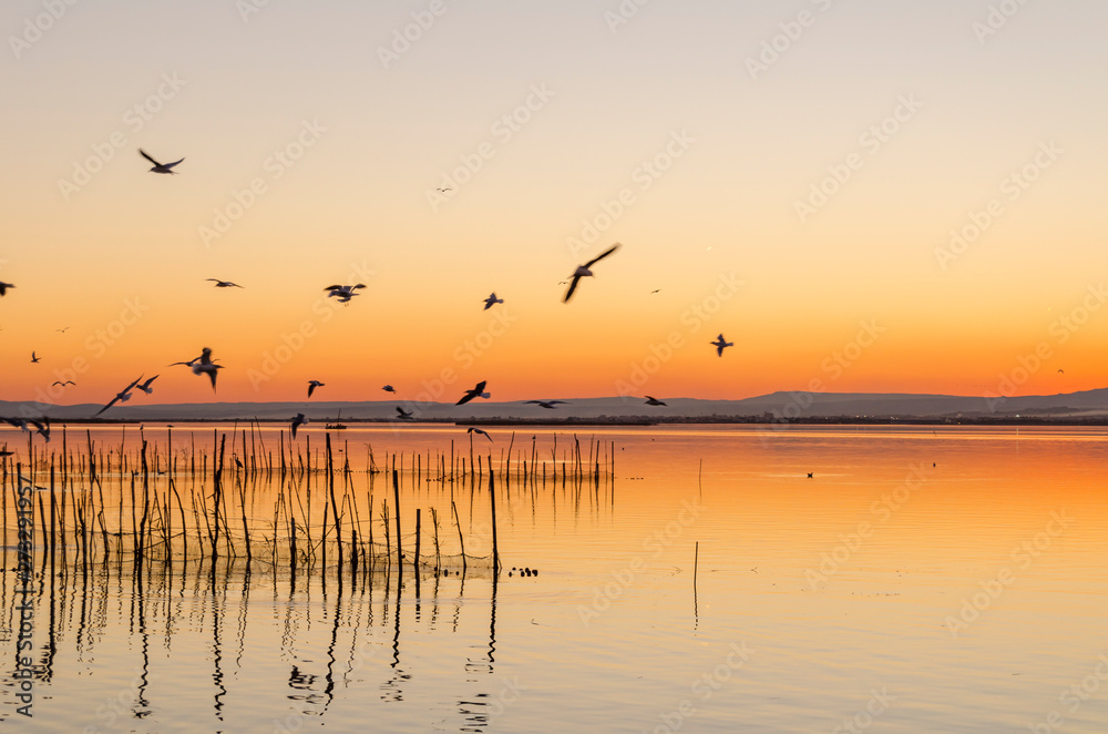 Parque natural de la Albufera en Valencia (España)