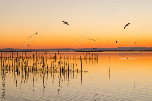 Obraz na płótnie Parque natural de la Albufera en Valencia (España) w salonie