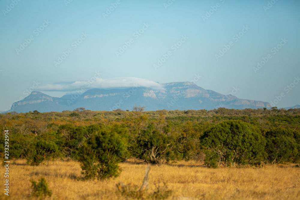 View of the northern extents of the Drakensburg mountain range.