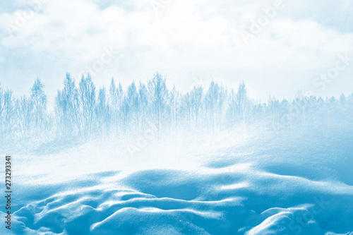  Frozen winter forest with snow covered trees.