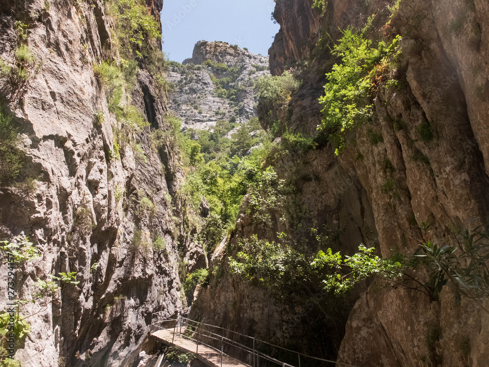 Wooden footbridge at Sapadere Canyon, Alanya, Antalya, Turkey