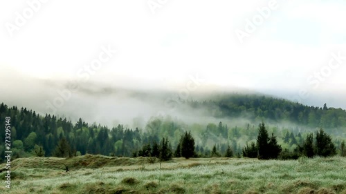 a landscape of the foggy morning forest at carpathian mountains, national park Skolivski beskidy, Lviv region of Western Ukraine photo