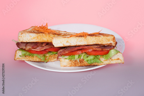 Toasted breads with meats and tomatoes