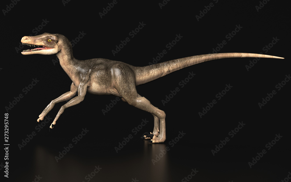 Wingless Velociraptor Dinosaur Standing Black Background Side View 3d wingless-velociraptor-dinosaur-standing-black-background-side-view-3d