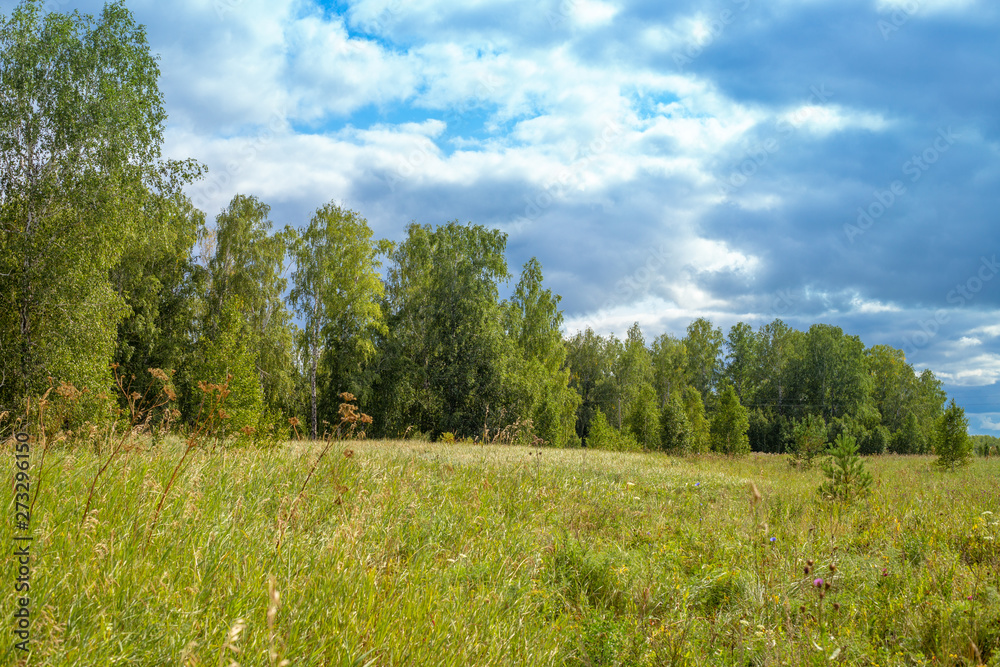 summer landscape outdoors field with green grass and forest, blue sky with clouds