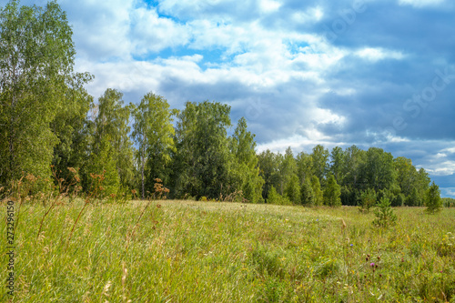 summer landscape outdoors field with green grass and forest, blue sky with clouds