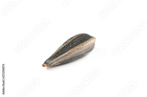 Sunflower seeds isolated on white background.Copy space