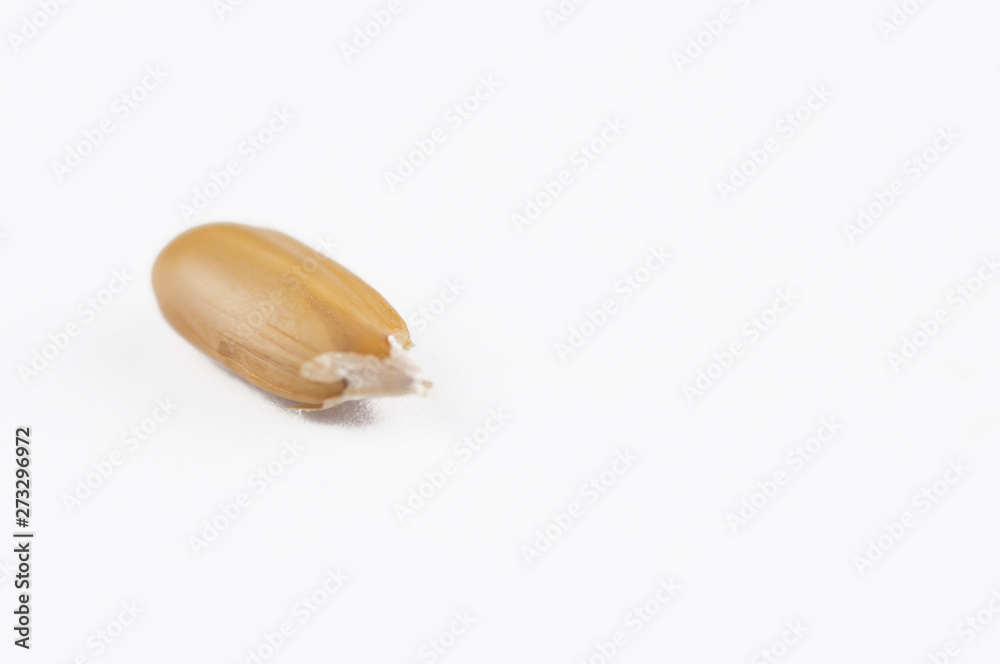 Peeled sunflower seeds isolated on white background.Copy space Peeled sunflower seeds isolated on white background.Copy space