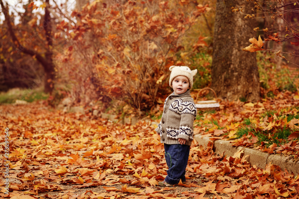toddler boy in fall park toddler boy in fall park