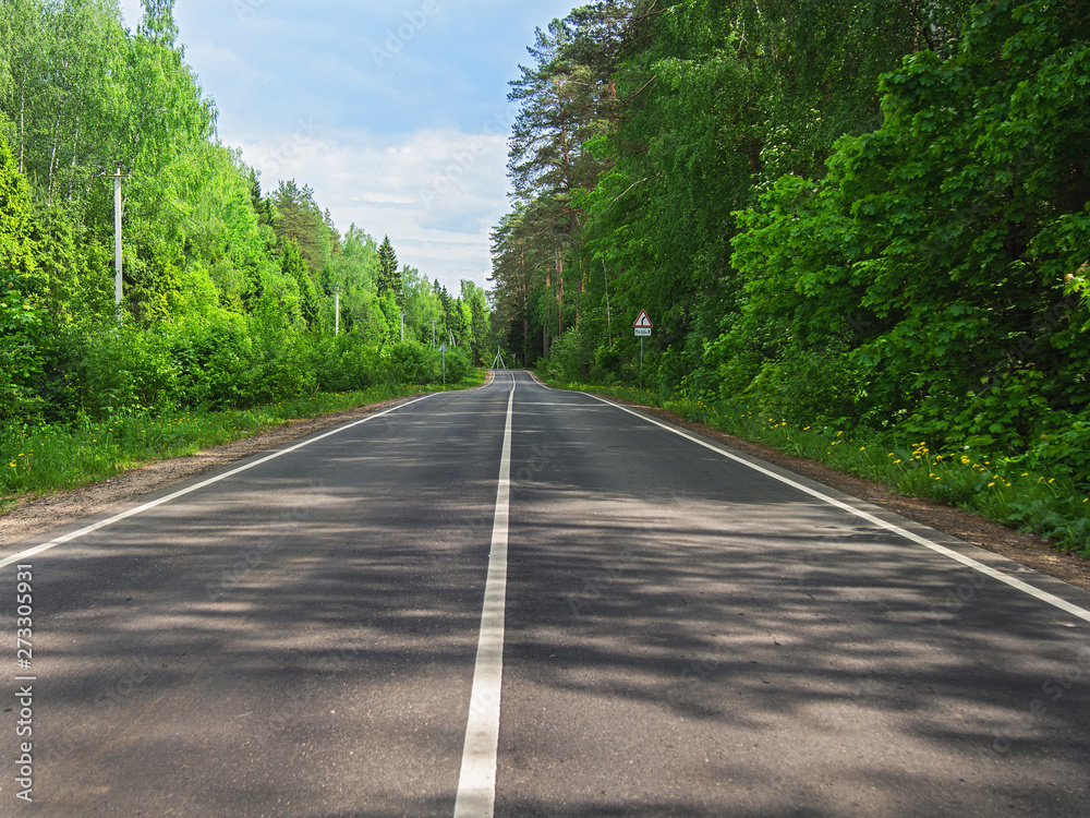 Two-way asphalt road in the countryside, in the forest in summer.