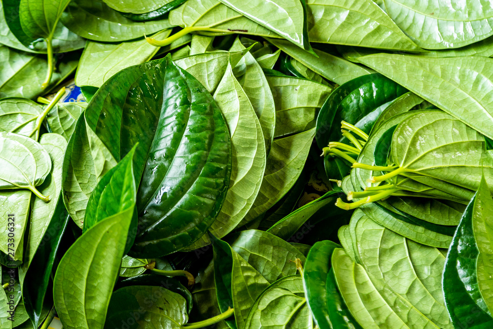 Fototapeta premium Betel Leaves for Sale in Market.